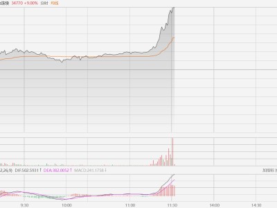 多晶硅主力合約拉升觸及漲停