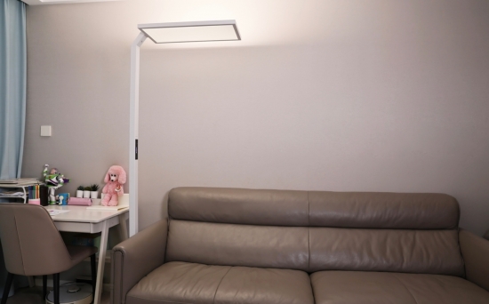 房間里的沙發 中度可信度描述已自動生成